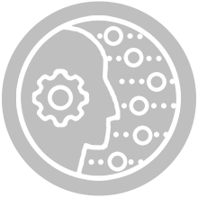 energetic intelligence