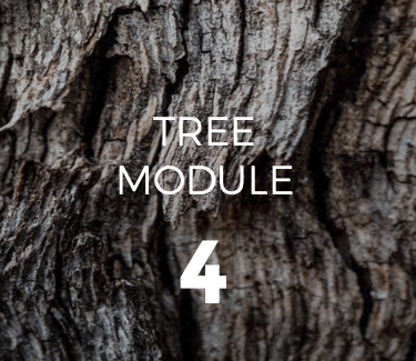 Luminous Module Tiles - Tree 4 COMING SOON