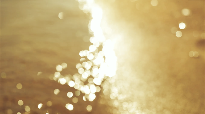 LAIOverviewBackground LAIOverviewBackground