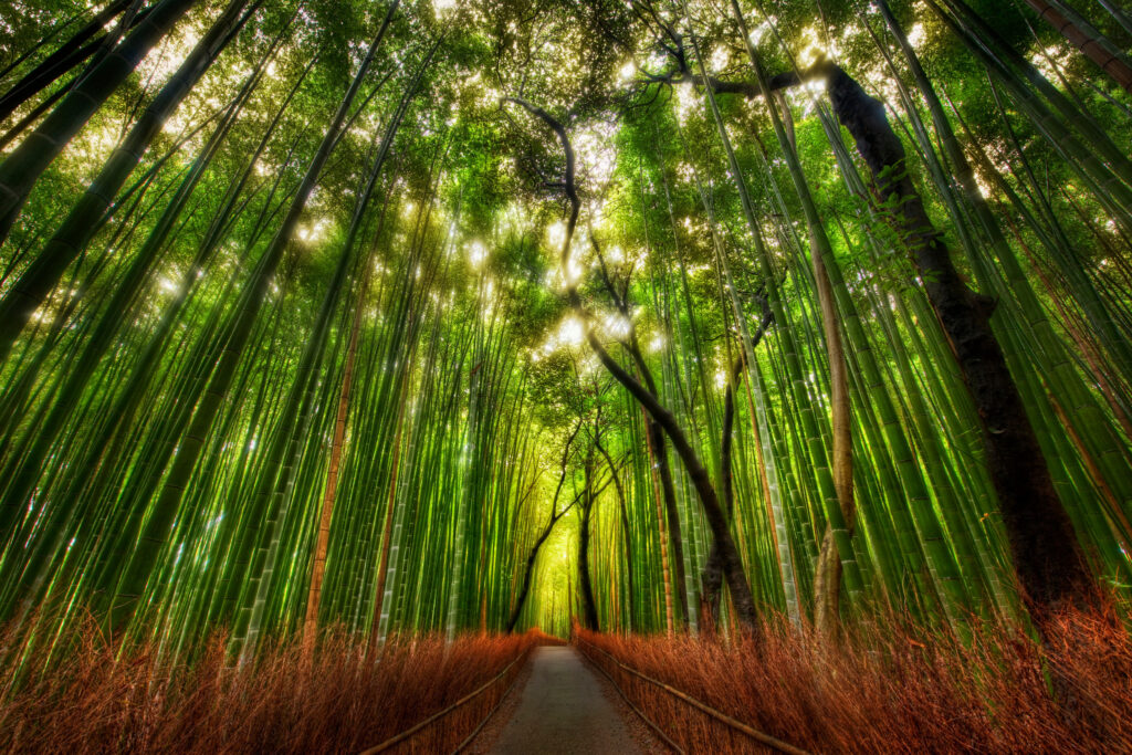 4070581709_a1c668a779_o-X4 Photo by Trey Ratcliff